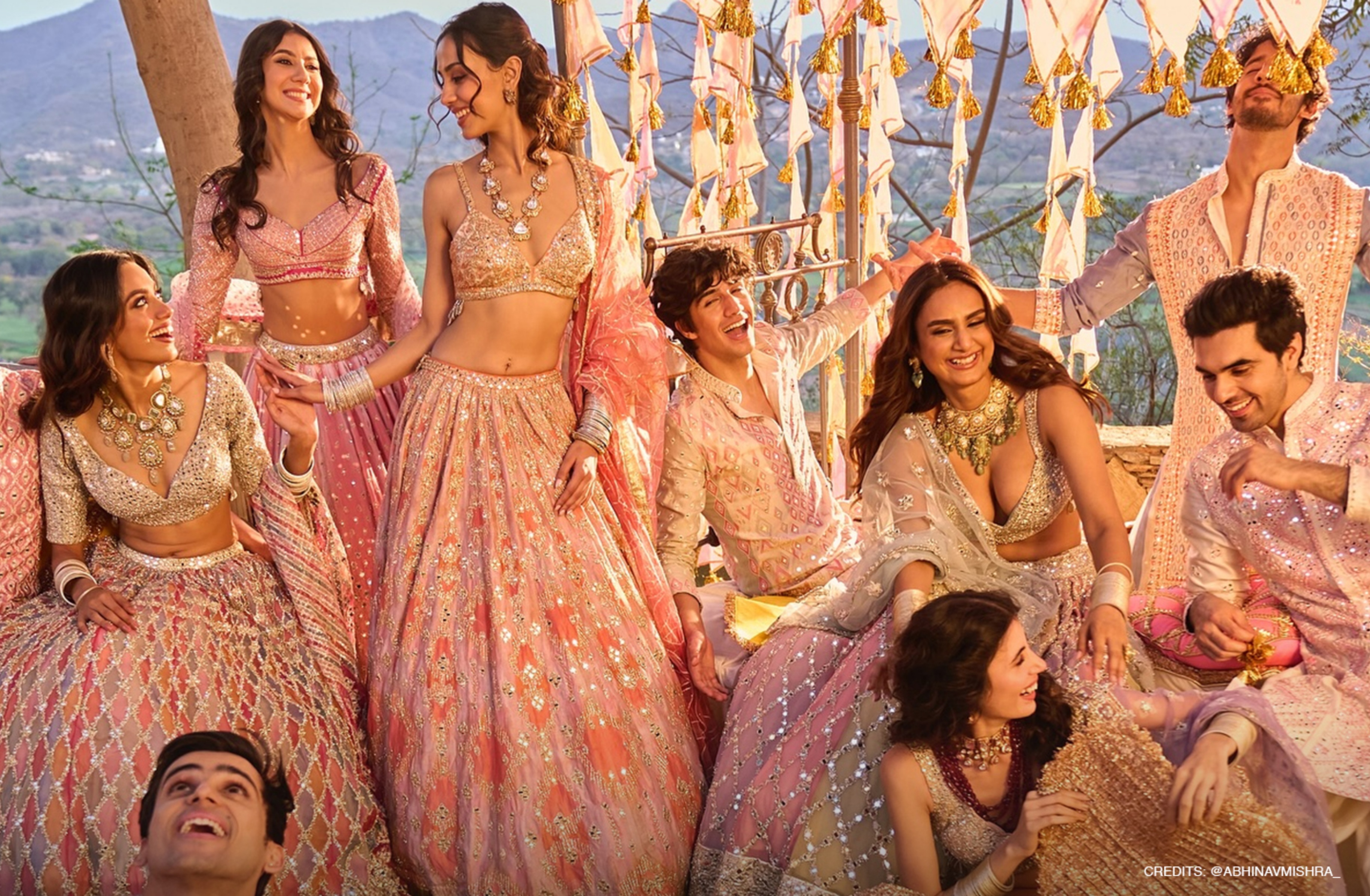 Celebrity Wedding Planner