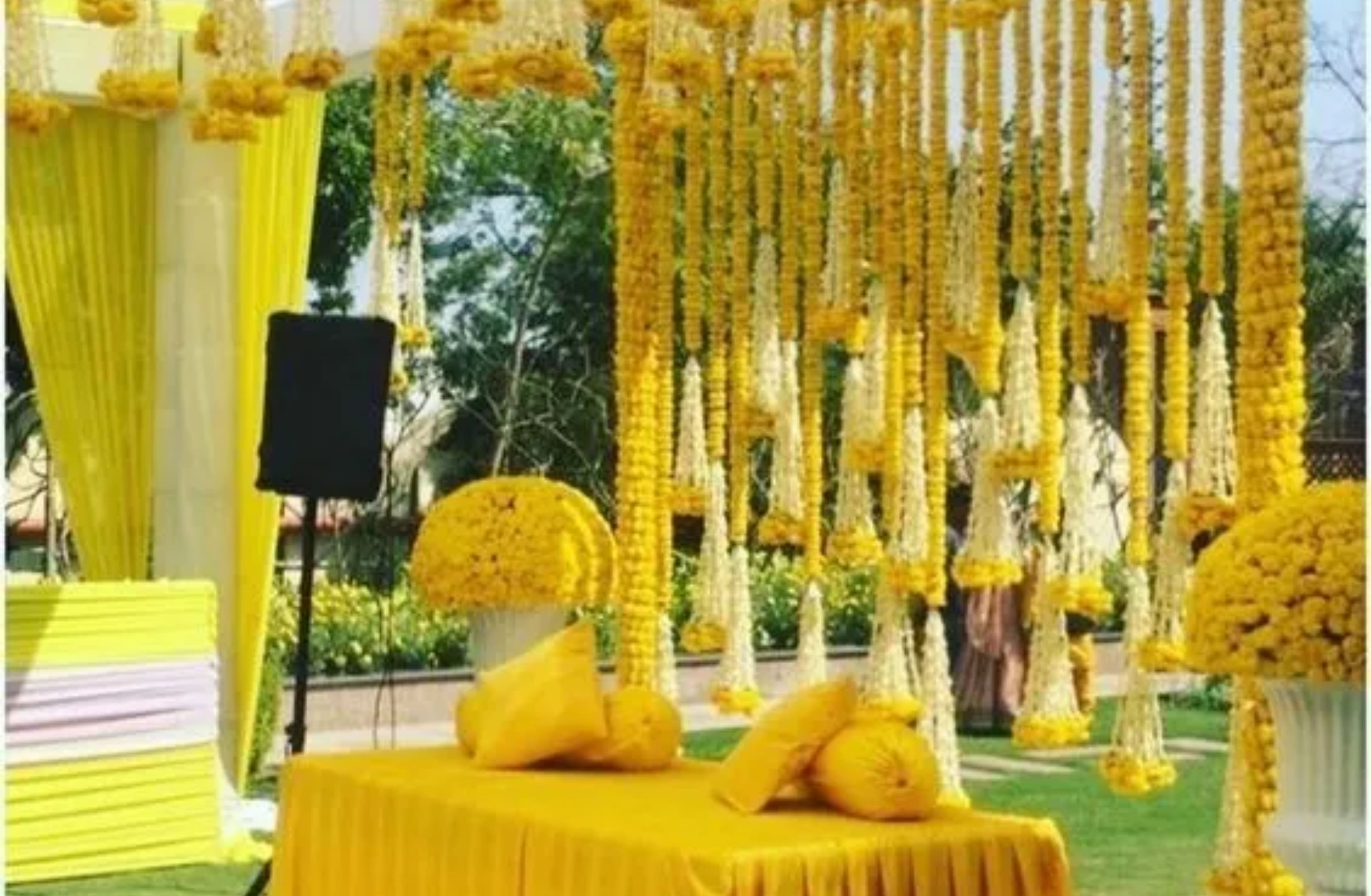 Haldi / Mehendi / Cocktail Venues